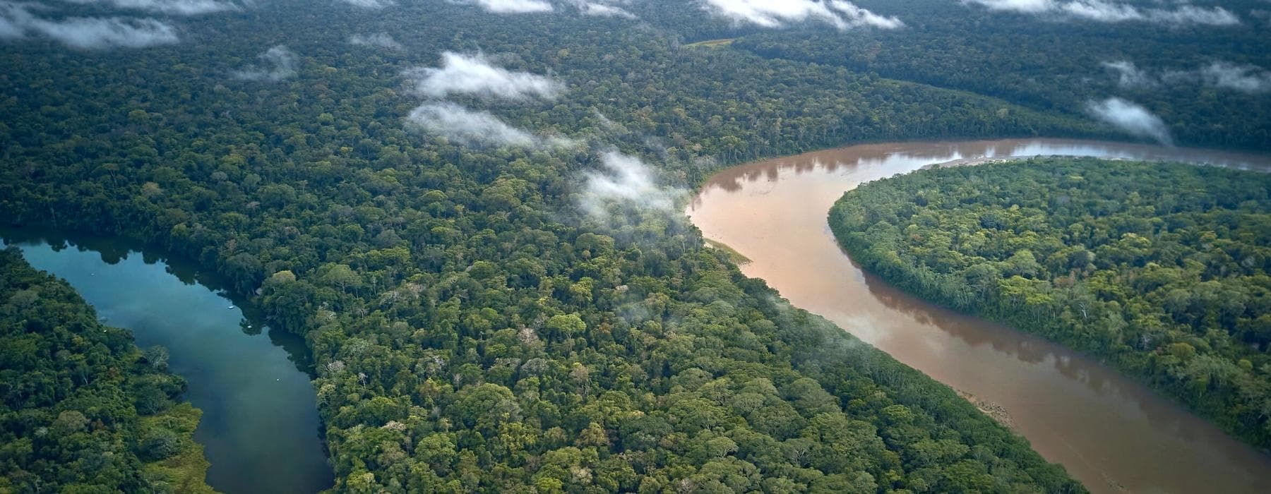 Explorez les meilleures excursions dans la forêt amazonienne du Pérou, le Parc National de Manu et la jungle de Tambopata