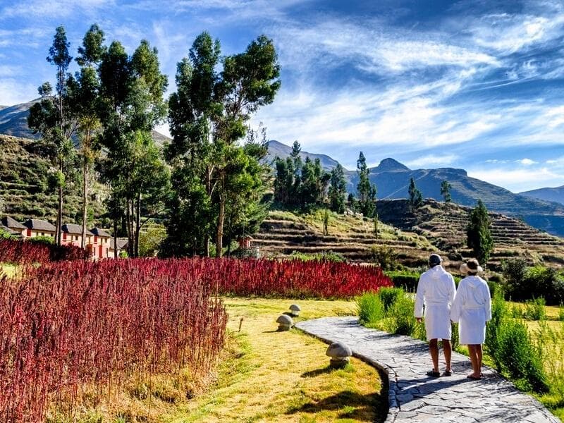 TOURS IN PERU:  AREQUIPA - COLCA CANYON