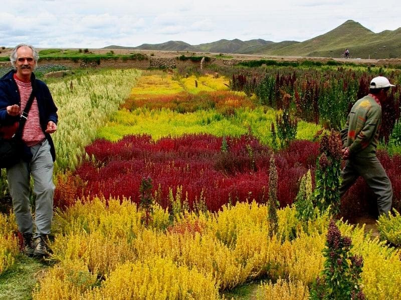 TOURS IN PERU:  COLCA CANYON - VILLAGE RESIDENTS VISIT - PUNO