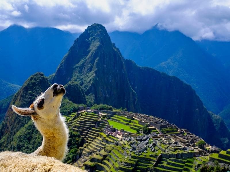 GUIDED TOUR IN MACHU PICCHU - CUSCO