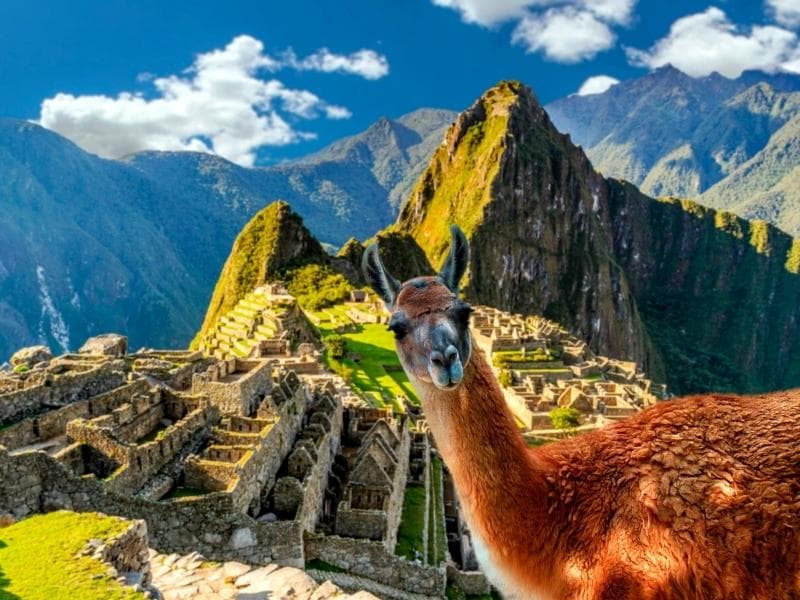 TOUR GUIADO EN MACHU PICCHU - RETORNO A CUSCO