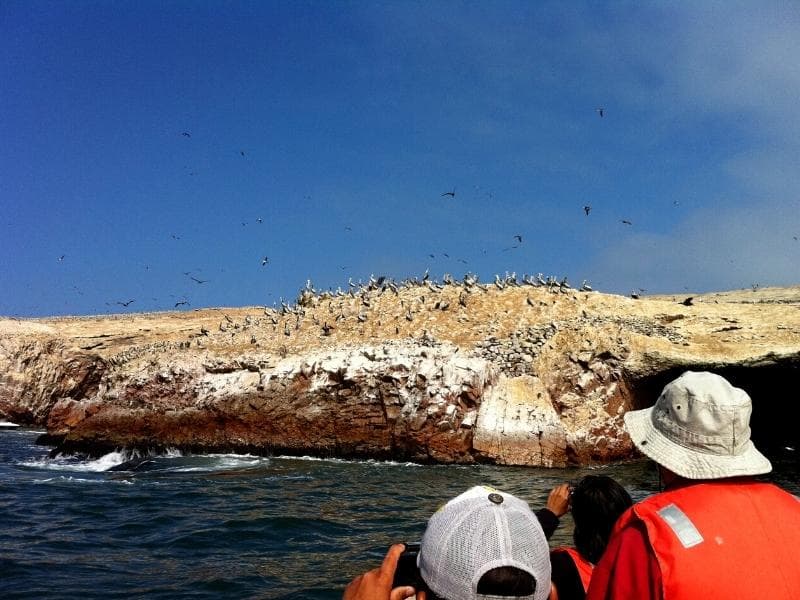 TOURS IN PERU: PARACAS 