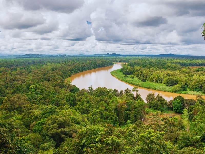 Tour Amazonie d’Iquitos 4 Jours