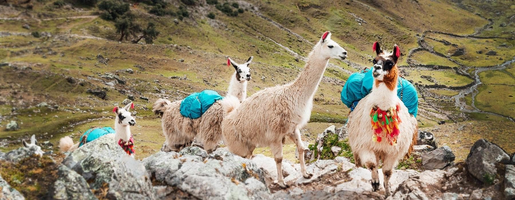 Lares Trek to Machu Picchu 3 Days 4