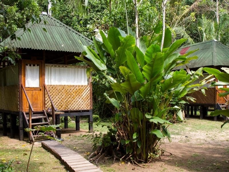 SELVA AMAZONICA DEL MANU:  PUERTO MALDONADO – CUSCO O LIMA