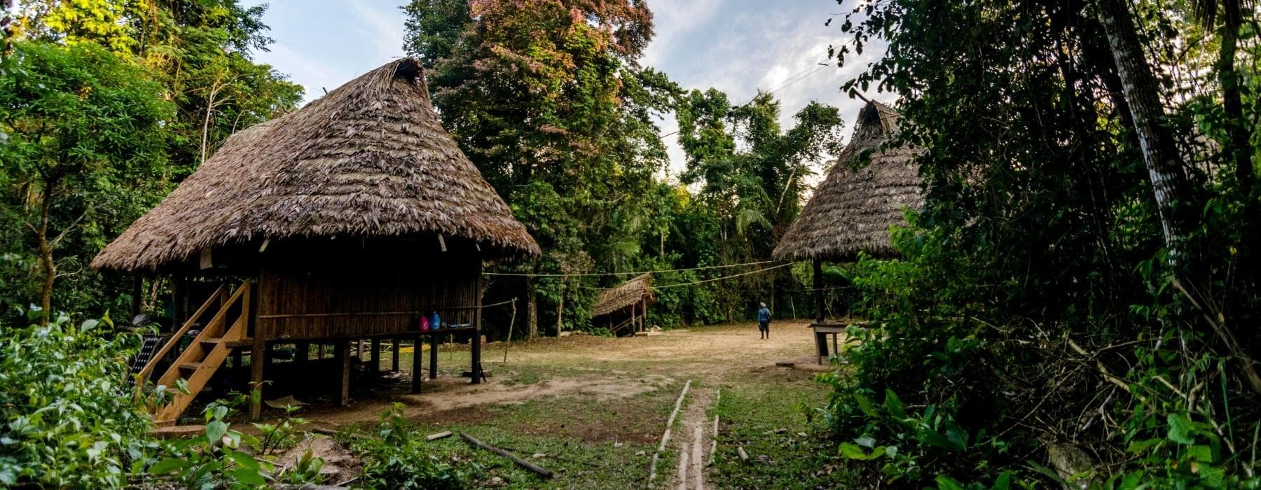 Manu Amazon Rainforest Reserved  Zone 7 Days 5