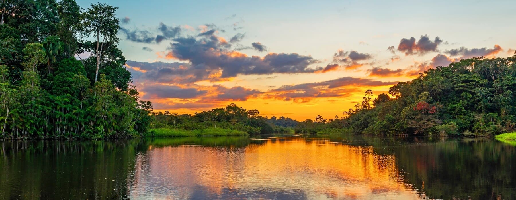 Tour a la Reserva Biosfera de Manu 8 Dias 6
