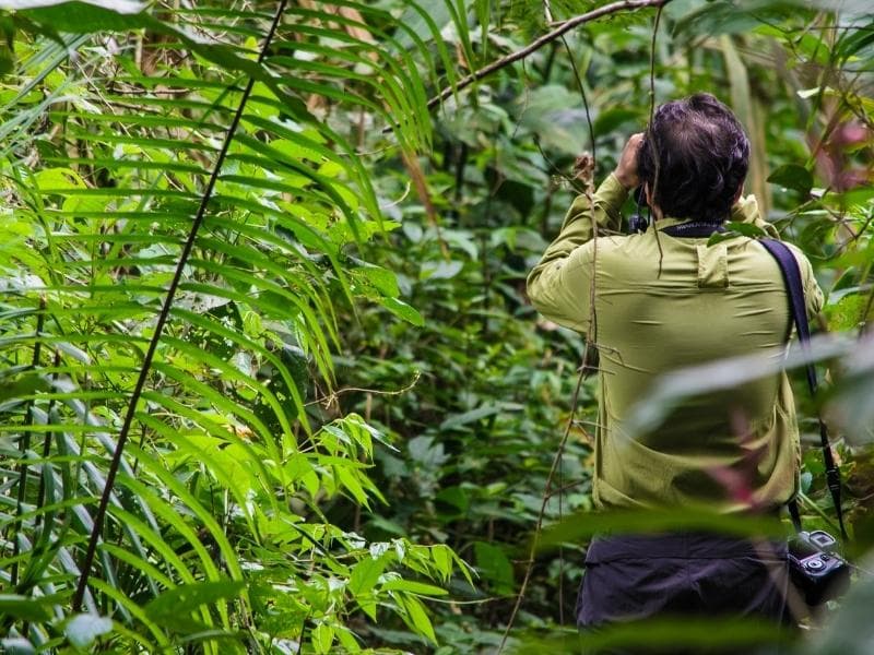 TAMBOPATA JUNGLE