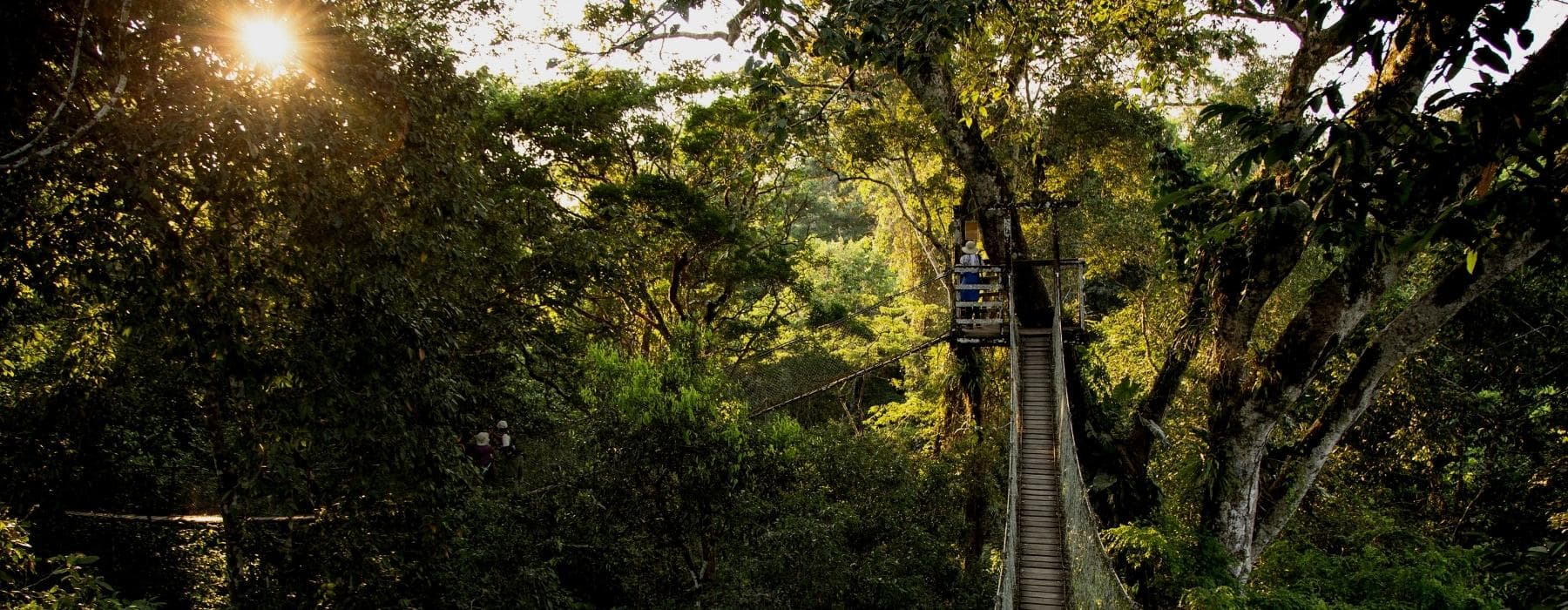 Tambopata Peruvian Amazon Rainforest in 4 Days 1