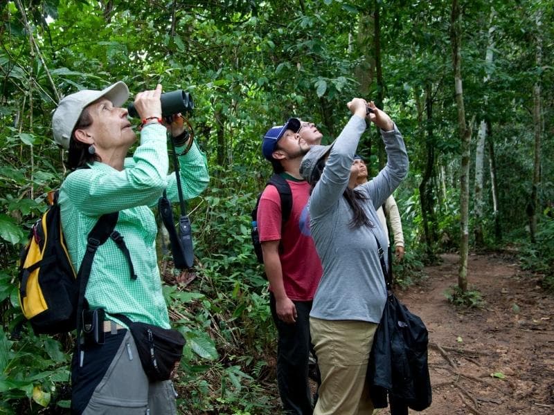 PERU TOURS:  TAMBOPATA JUNGLE EXPLORING