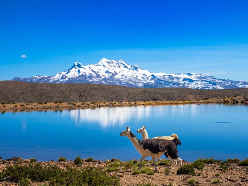 CHIVAY - VIZCACHANI - PUNO
