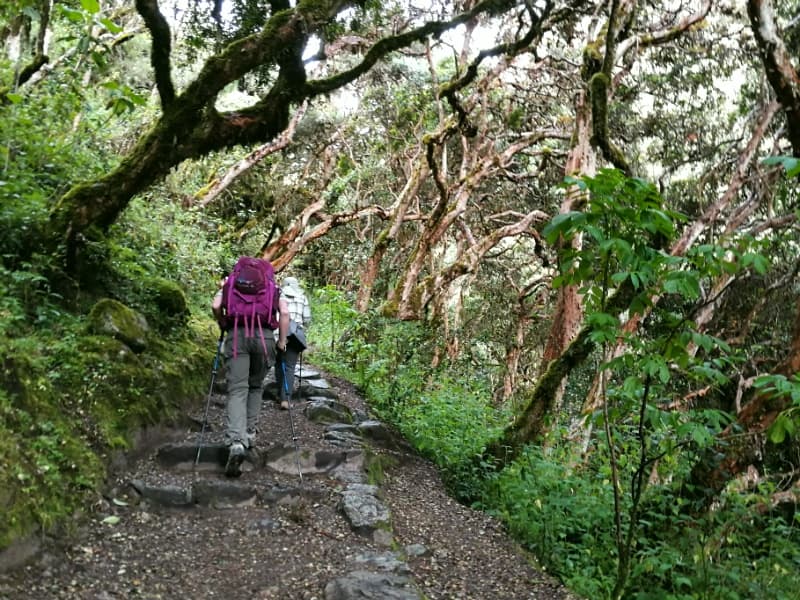  INKA TRAIL NACH MACHU PICCHU: PASS WARMIWAÑUSCA – PACAYMAYU