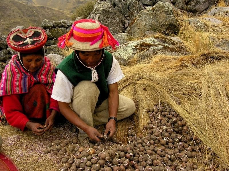 Lares Trek & Short Inca Trail to Machu Picchu 5 Days