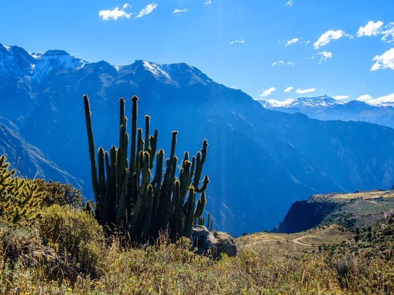 AREQUIPA - CABANACONDE - SAN JUAN - SANGALLE
