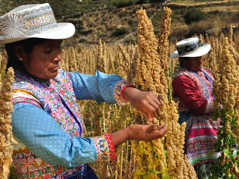 COLCA CANYON TOUR FROM AREQUIPA TO PUNO 3 DAYS