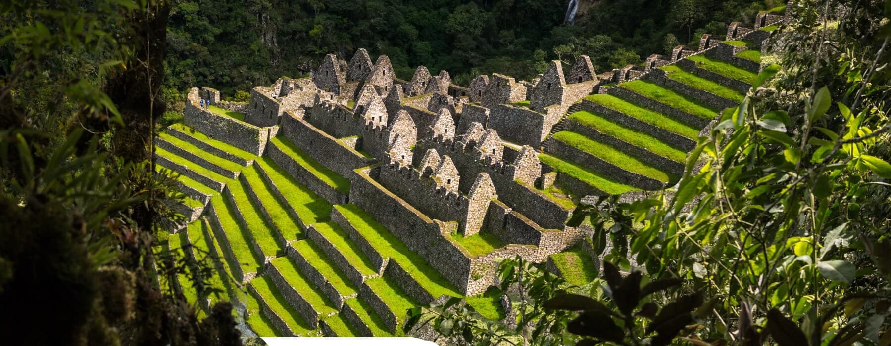10 DAY SPIRITUAL RETREAT IN CUSCO, AYAHUASCA CEREMONY, SAN PEDRO CACTUS 2