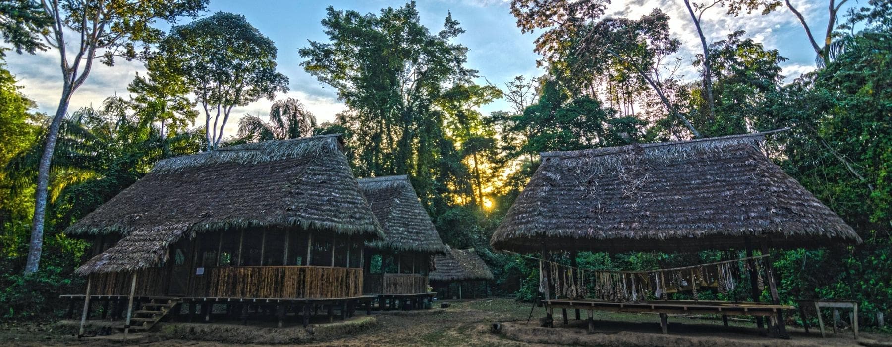 Manu Amazon Rainforest Reserved Zone 6 Days 4