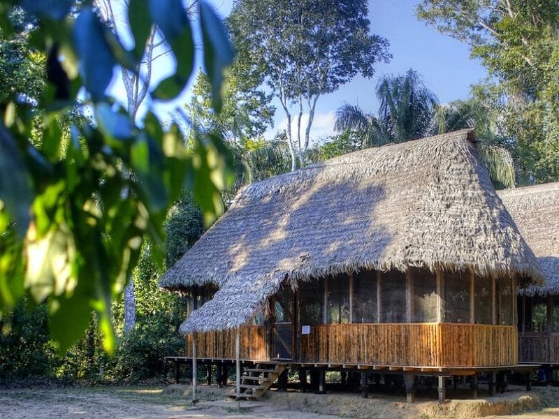  BOCA MANU - LIMONAL - CASA MATSIGUENKA