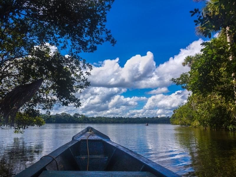 RETOUR À PUERTO MALDONADO
