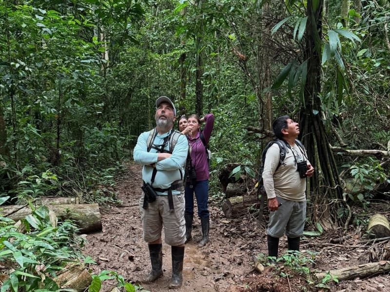 Explore the mammal clay lick in Tambopata National Reserve