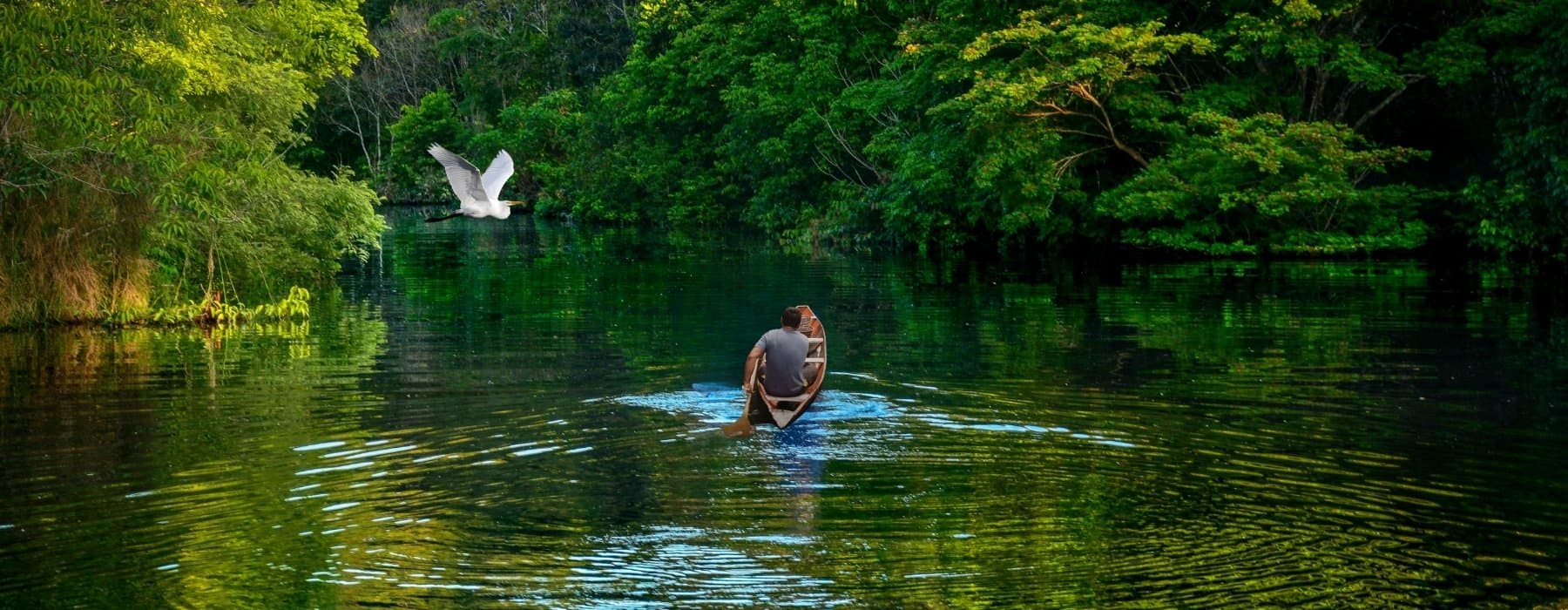 Descubra la selva amazónica de Iquitos Tour 4 días 1