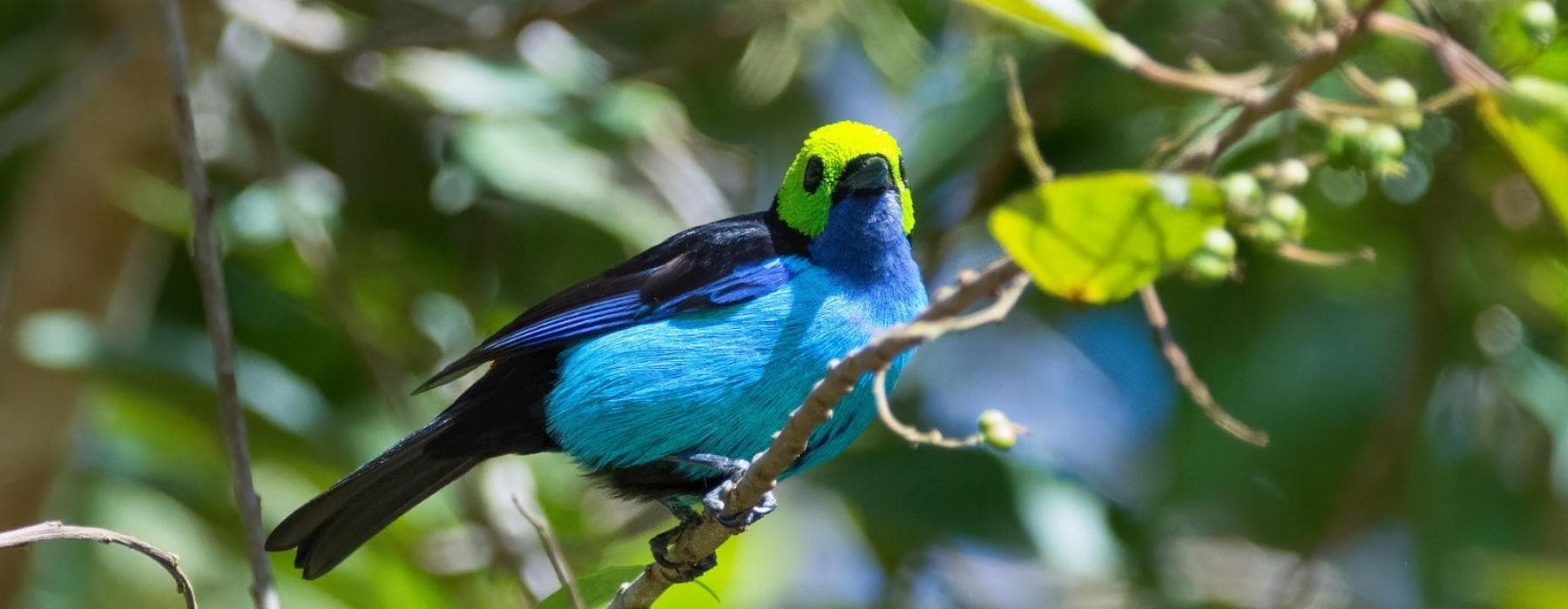 Manu Amazon Rainforest Tours 3 Days 1