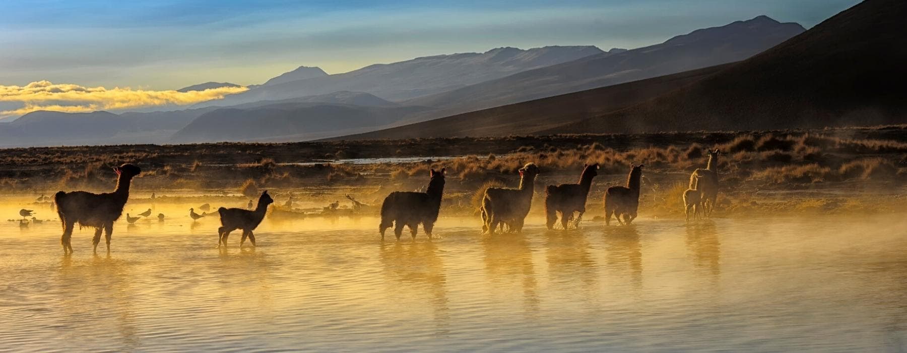 Ausangate Trek to Rainbow Mountains & Short Inca Trail 6 Days 6