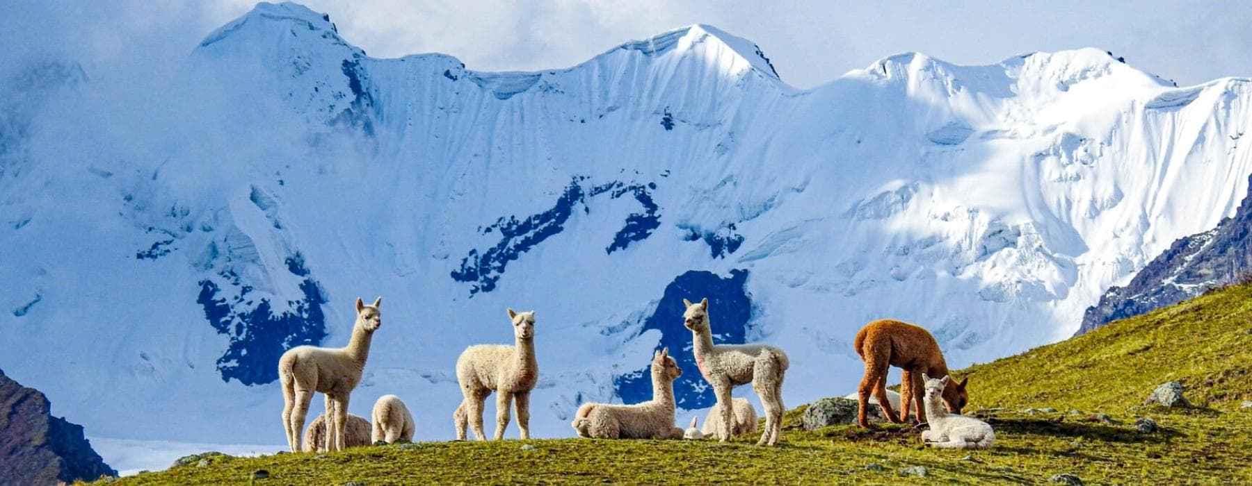 Ausangate Trek zum Sibinacocha See 6 Tage 2