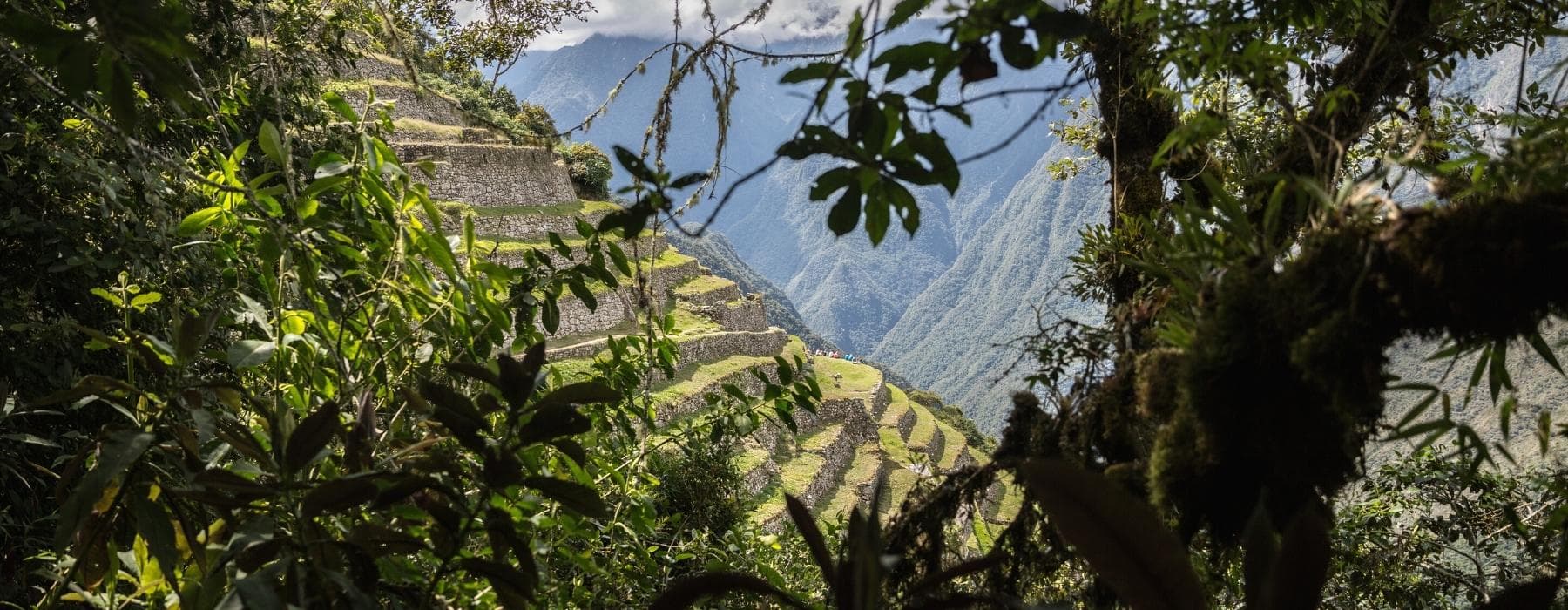 Salkantay Trek & Camino Inca a Machu Picchu 6 Dias 6