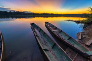 Amazon River Fish