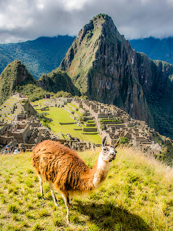 ALLES ÜBER DEN INKA TRAIL NACH MACHU PICCHU