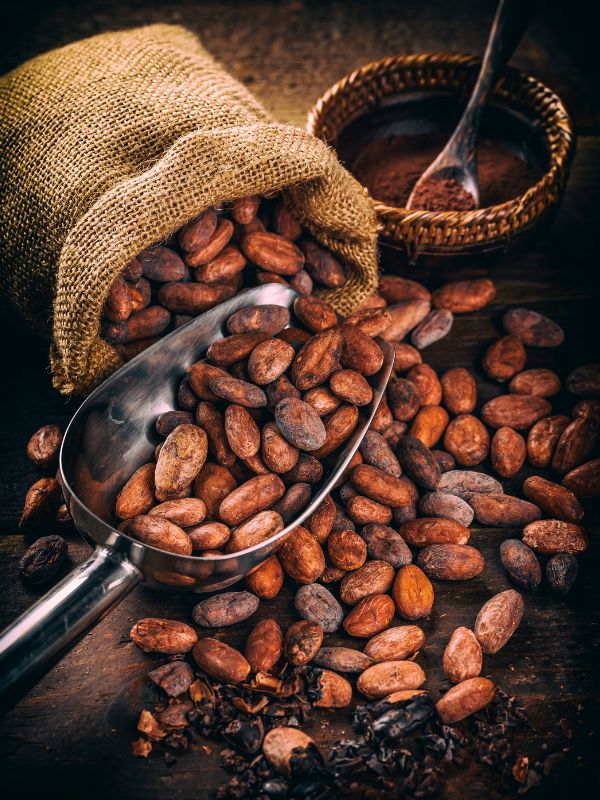 PERUVIAN CHOCOLATE: THE TASTIEST COCOA OF THE WORLD