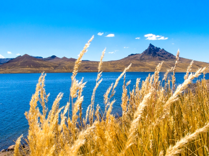 Divers Paysages Naturels