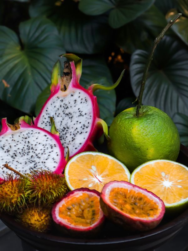 10 FRUITS DE LA FORÊT AMAZONIENNE