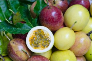 Frucht des Amazonas Regenwald