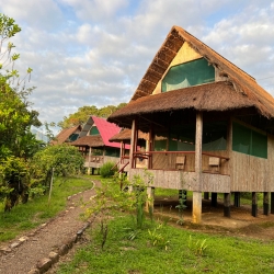 recommendations of An impressive trip to the jungle.