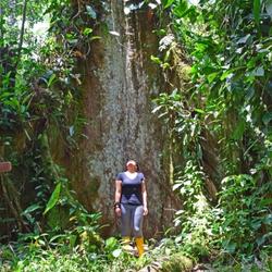 recommendations of Manu National Park 4 Days