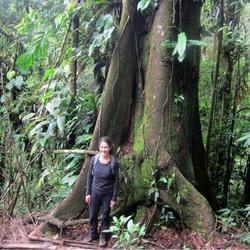 recommendations of Tour to Manu Amazon Rainforest 4 Days