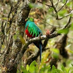 recommendations of Manu Amazon Rainforest 4 Days