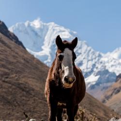 recommendations of Best Salkantay Trek 5 Days