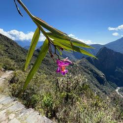 recommendations of Short Inca Trail to Machu Picchu