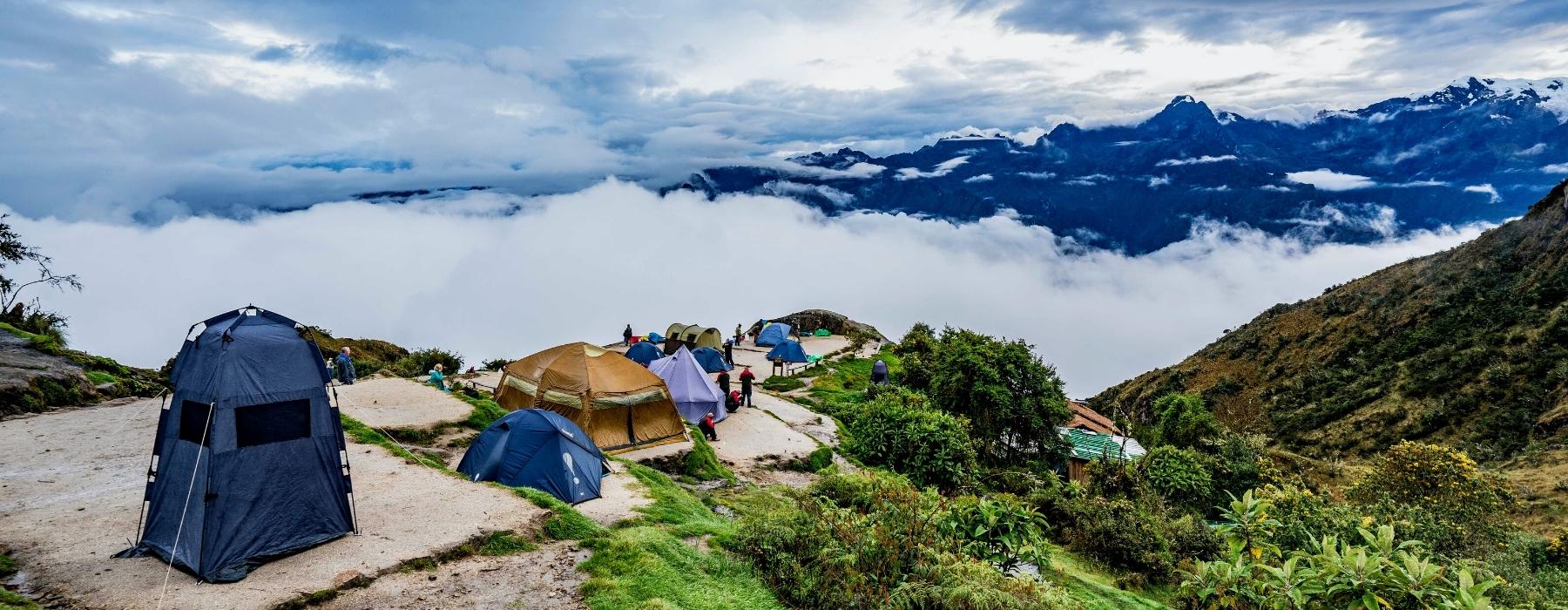 Calcetines altos de montaña y trekking 2 pares Adulto Quechua Hike 50