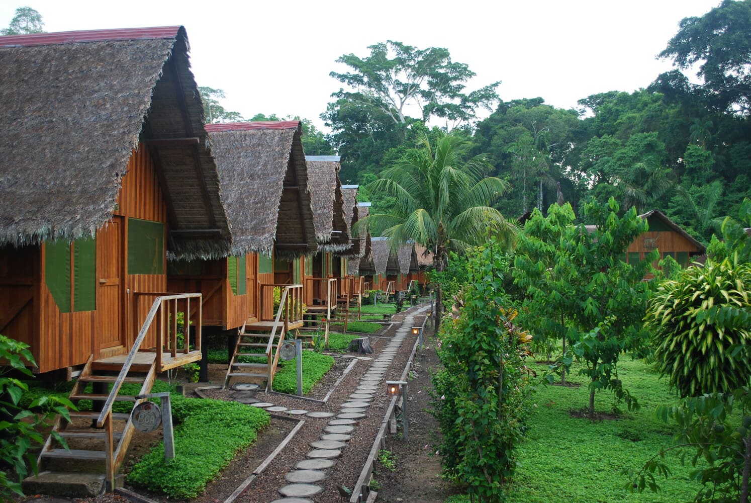 EL MEJOR MOMENTO PARA VISITAR EL MANU LA SELVA AMAZÓNICA