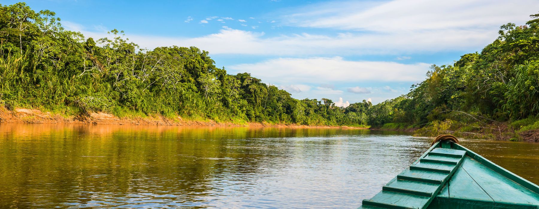 AMAZON RIVER FISH: BEST KNOWN SPECIES
