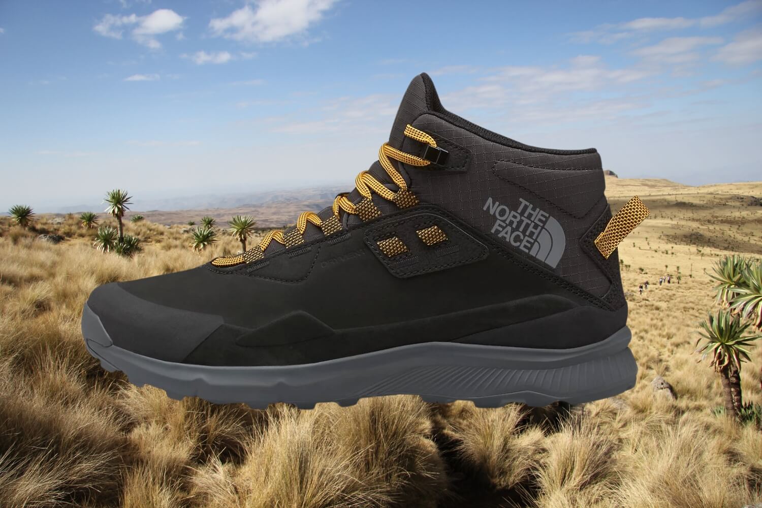 Valen la pena las Merrell Moab 3 GTX? - Blog de TotalSport