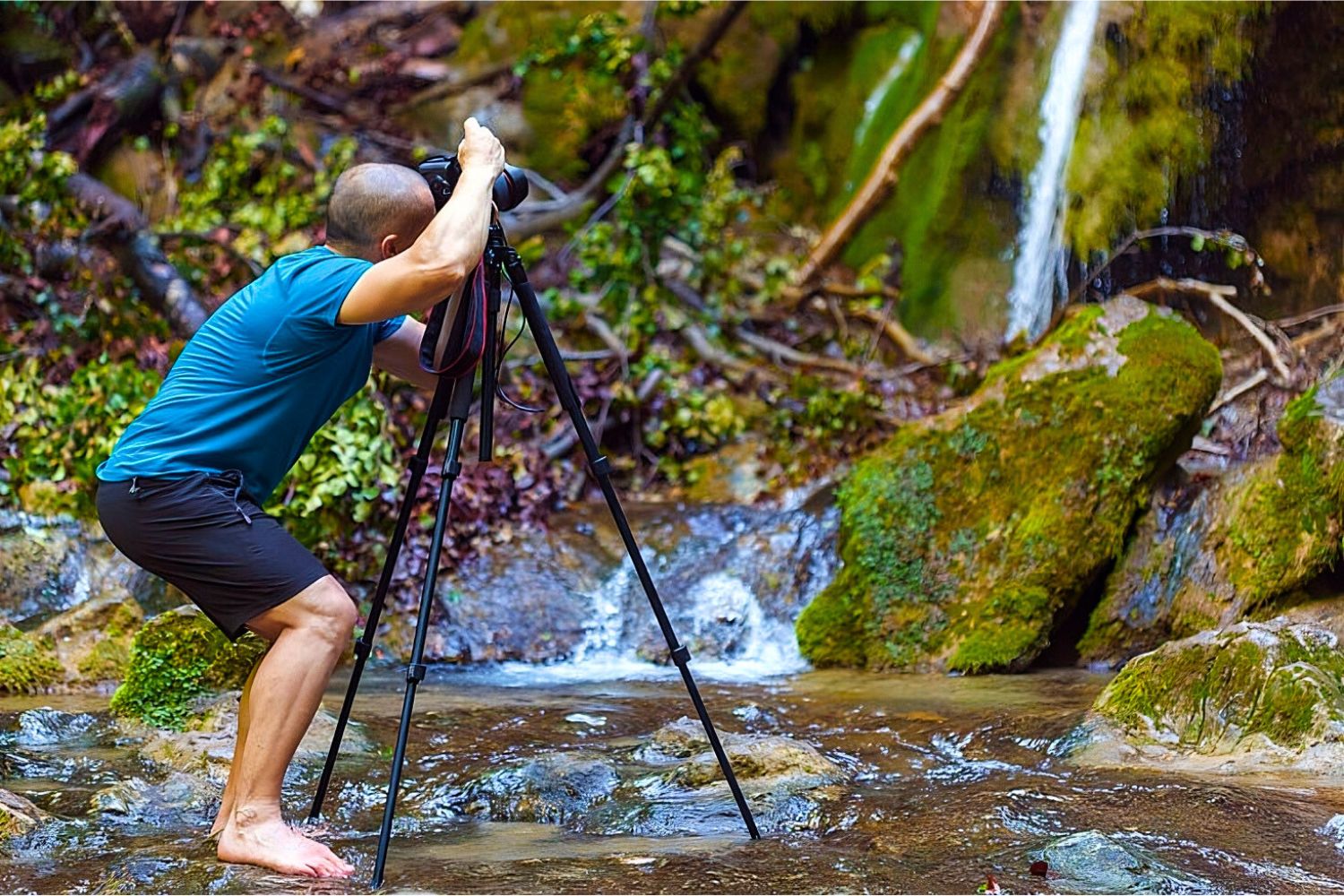 Trépieds de photographie d'oiseaux