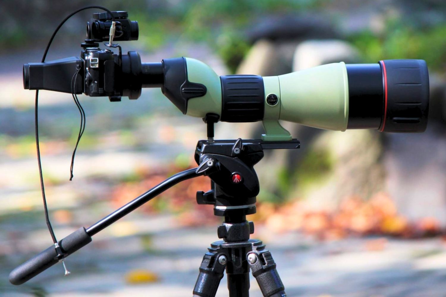 What is digiscoping?