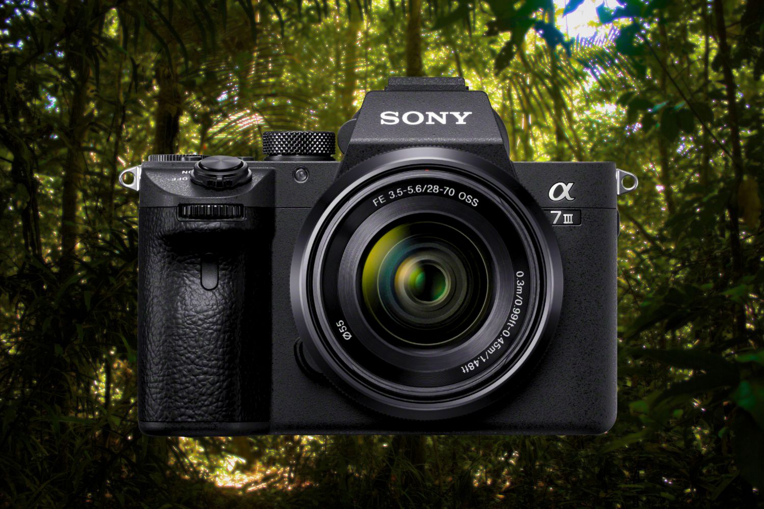 Cámara Sony A7 III no trae cargador 📷 - Cámaras EVIL 2024