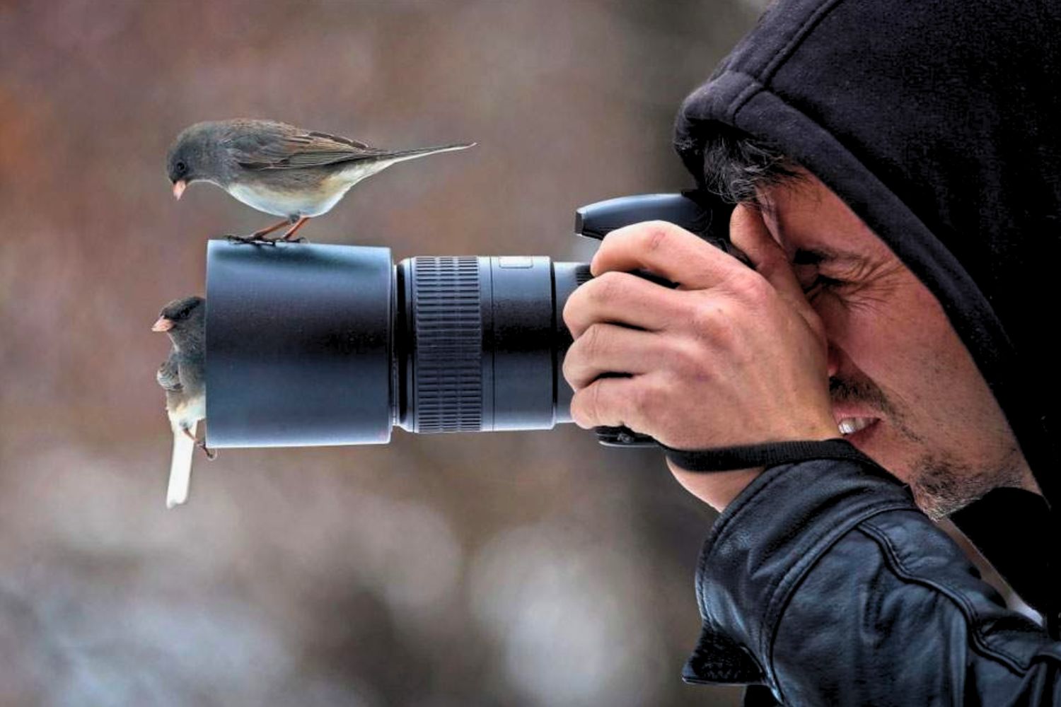 The ideal equipment for bird photography