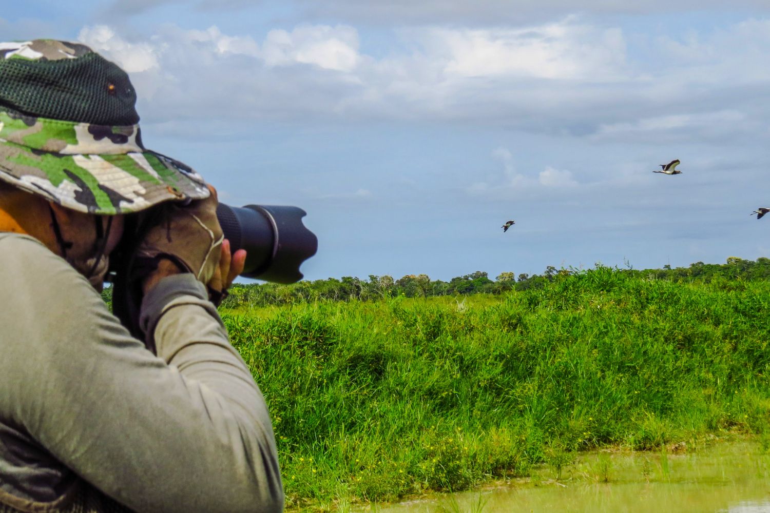 La cámara ideal para fotografía de aves